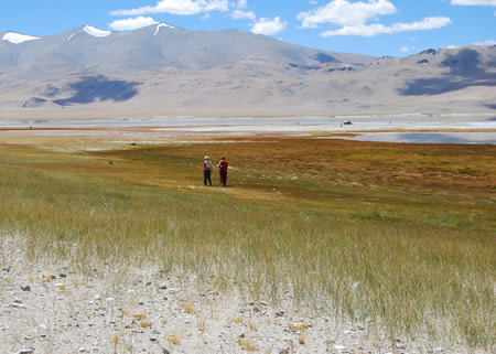 Auf welchen Wegen möchten Sie Ihre Reise nach Ladakh gestalten? 